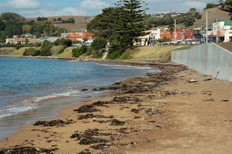 Beach at Penguin on the north-west coast of Tasmania.
